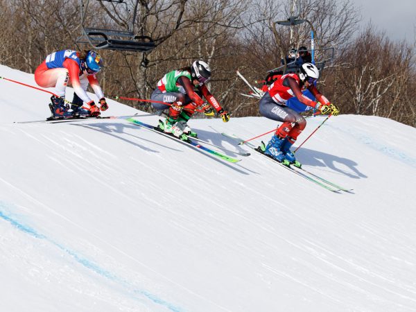 Ski Cross 2