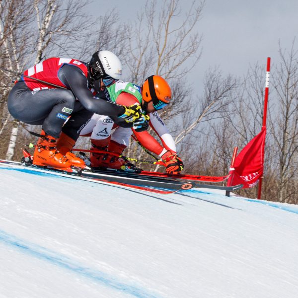Ski Cross Ski Cross