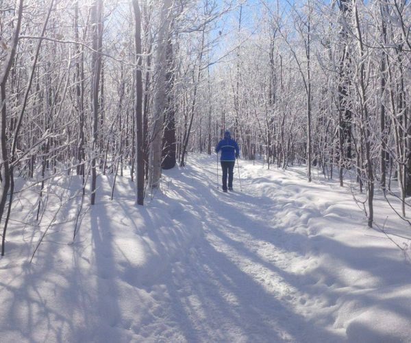 Snowshoe Trail